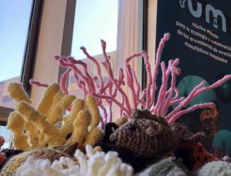 Ganchillo, fondo marino