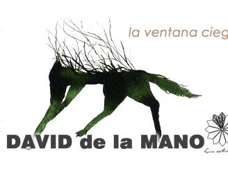 La ventana ciega - David de la Mano