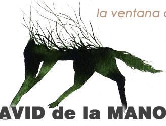 La ventana ciega - Artista: David de la mano - Comisario: Ricardo G. Núñez