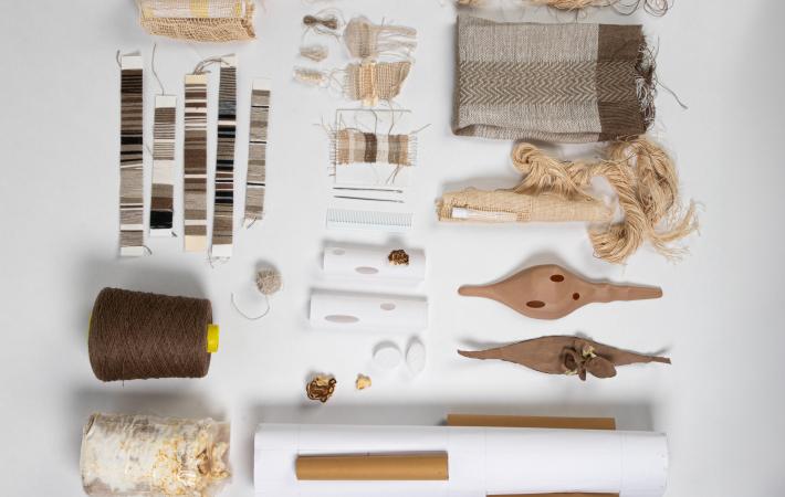 MushRoom Project, Rocio Telecemian en colaboración con Francesca Piñol