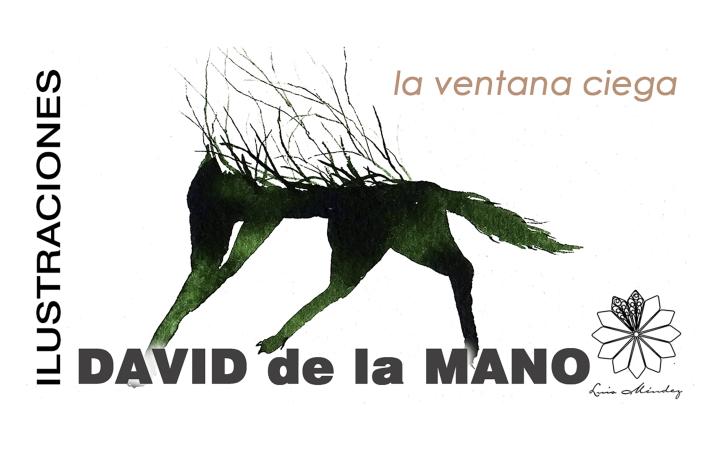 La ventana ciega - David de la Mano