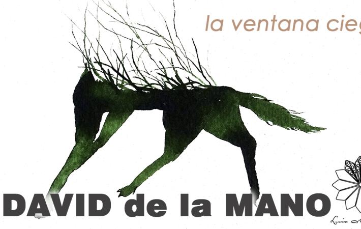 La ventana ciega - Artista: David de la mano - Comisario: Ricardo G. Núñez