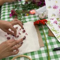 Proceso do Hapa Zome.