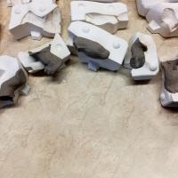 partes de una tortuga en sus moldes