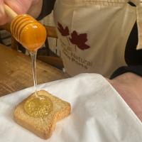 Degustación de 3 variedades de miel de la zona