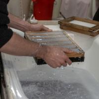 Kokoro Art Taller de Papel