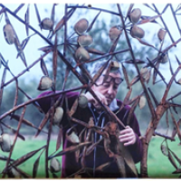 Trabajos realizado por Manuel López Pérez