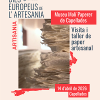 Museu Molí Paperer de Capellades