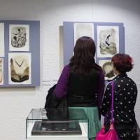 Galería Luis Méndez - Exposición: La ventana ciega